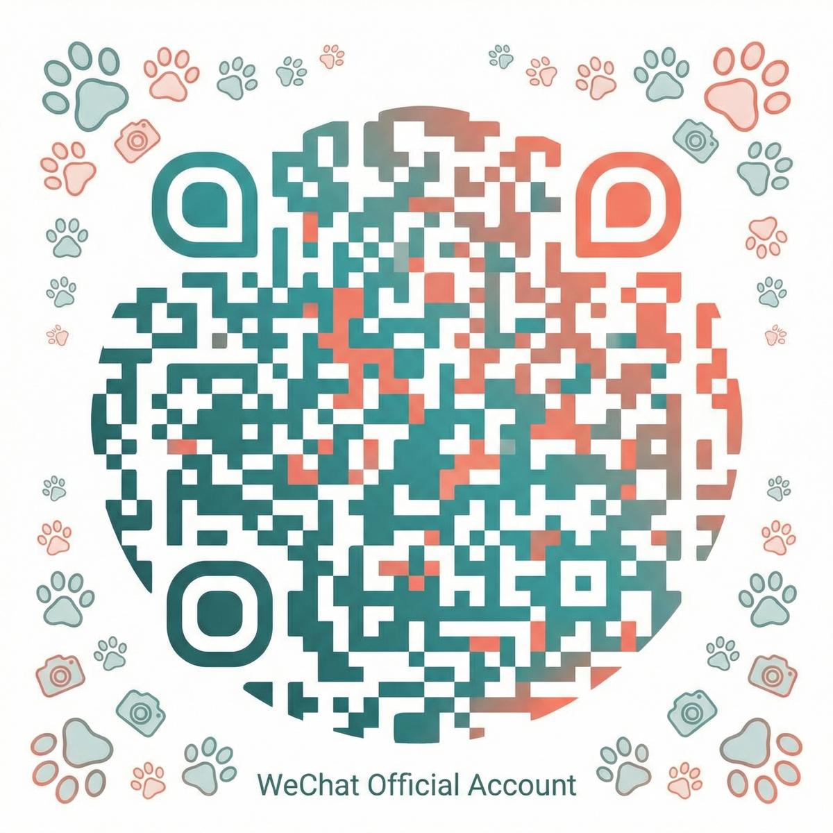 女神视频公众号二维码